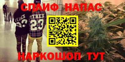 крисы Будённовск