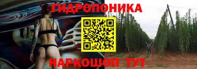 крисы Будённовск