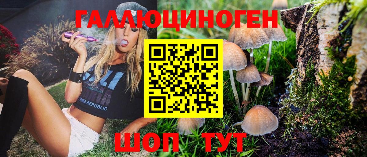 Лобня  Галлюциногенные грибы Psilocybe  Вход с VPN 