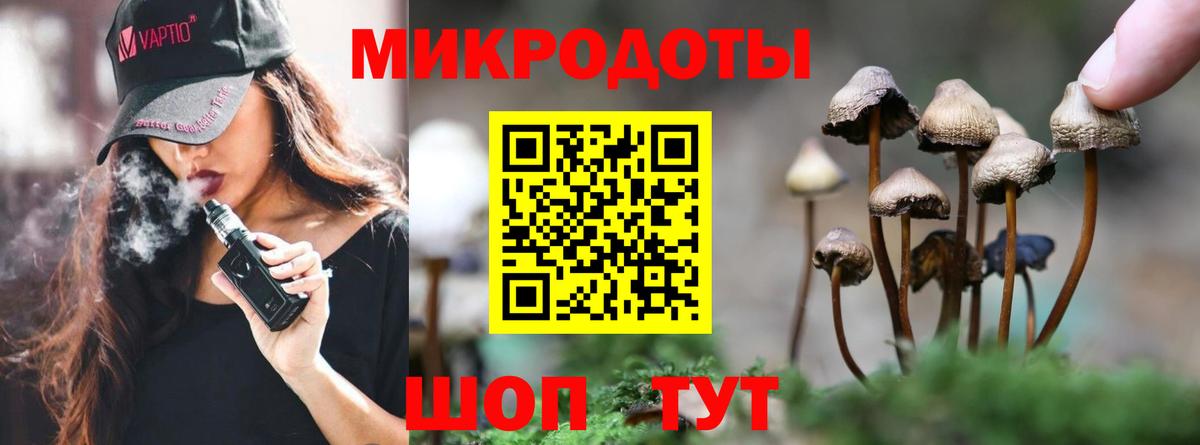 Псилоцибиновые грибы GOLDEN TEACHER Лобня